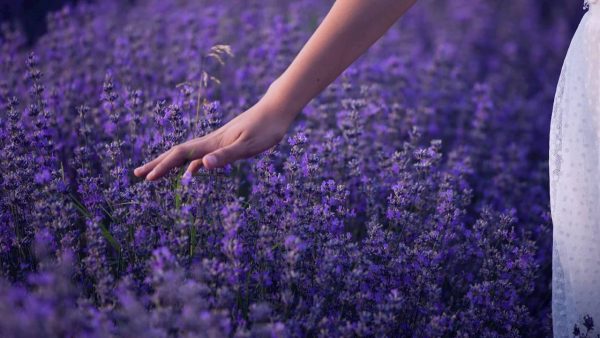 الشفاء من ألم الفراق ( التعلق ) رحلة استعادة الذات